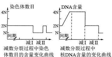 图中横坐标甲.乙.丙